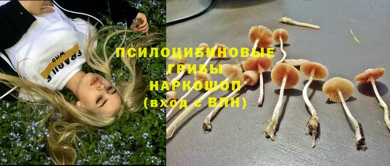 Галлюциногенные грибы Psilocybine cubensis  нарко площадка телеграм  Копейск  мега зеркало 